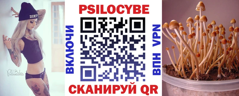 блэк спрут зеркало  купить  цена  Облучье  Галлюциногенные грибы мицелий 